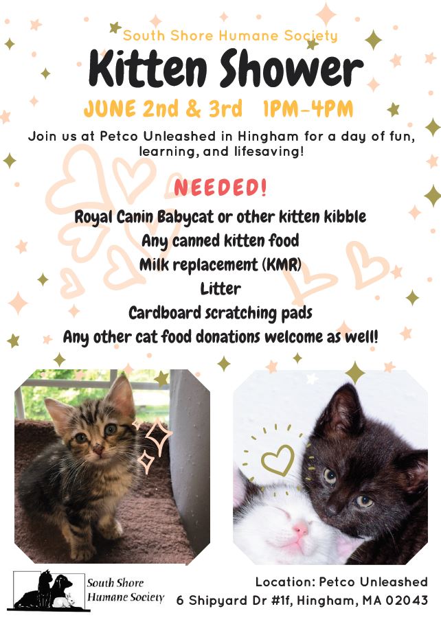 Kitten Shower South Shore Humane Society